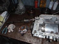 P1100079-1.JPG