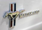 _MG_3328.jpg